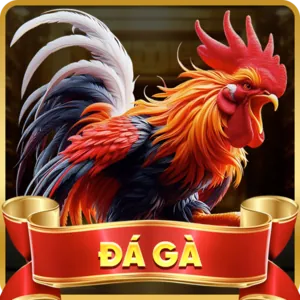 Hỗ trợ qua mạng xã hội ff168 xổ số